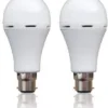 Inverter LED Light