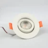 Moveable COB Light